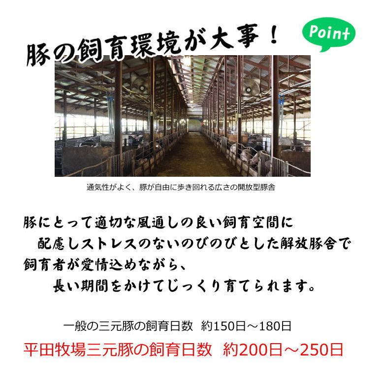 お歳暮 Ｈ冷凍 平田牧場 特製生ぎょうざ  96個 お取り寄せグルメ ギフト 肉  内祝い 餃子 ギョーザ 平田牧場 三元豚 贈り物 中華 惣菜 中華  JGY-08