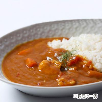 ふるさと納税 南あわじ市 淡路島カレー10個セット