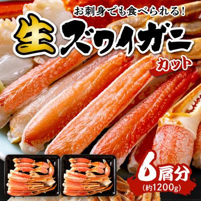 ふるさと納税 京丹後市 高鮮度!お刺身でも食べられる!カット生ズワイガニ 6肩分