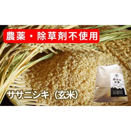 ふるさと納税 農薬・除草剤不使用で栽培したササニシキ「郷山のお米 5kg」（玄米） 秋田県にかほ市