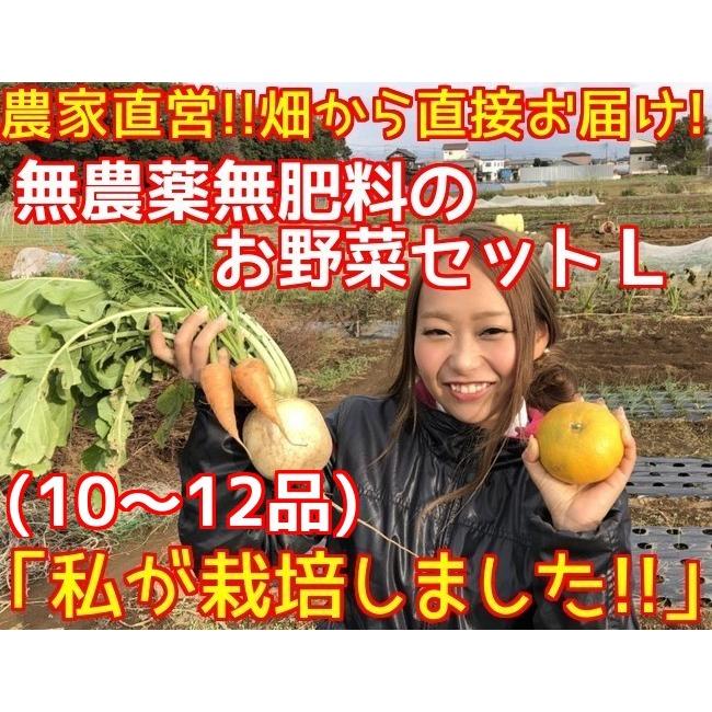 無農薬野菜セット　Ｌ(10〜12品)