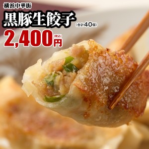 黒豚生餃子40個（20個入×2箱） 　販売個数2,800万個突破！うまみたっぷりで何個でもいけちゃいます♪