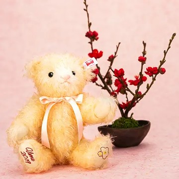 Teddy Bear Ume 梅花熊