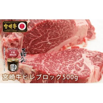 ふるさと納税 高千穂町 宮崎牛 ヒレブロック500g 万能だれ付き