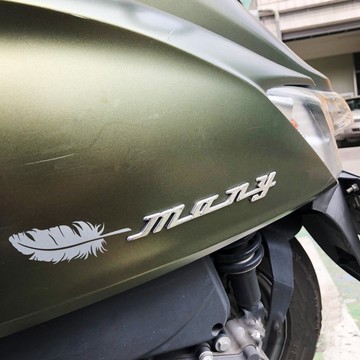 羽毛 反光貼紙 1份包含左右邊 機車貼紙 車貼 汽車貼紙 防水耐曬