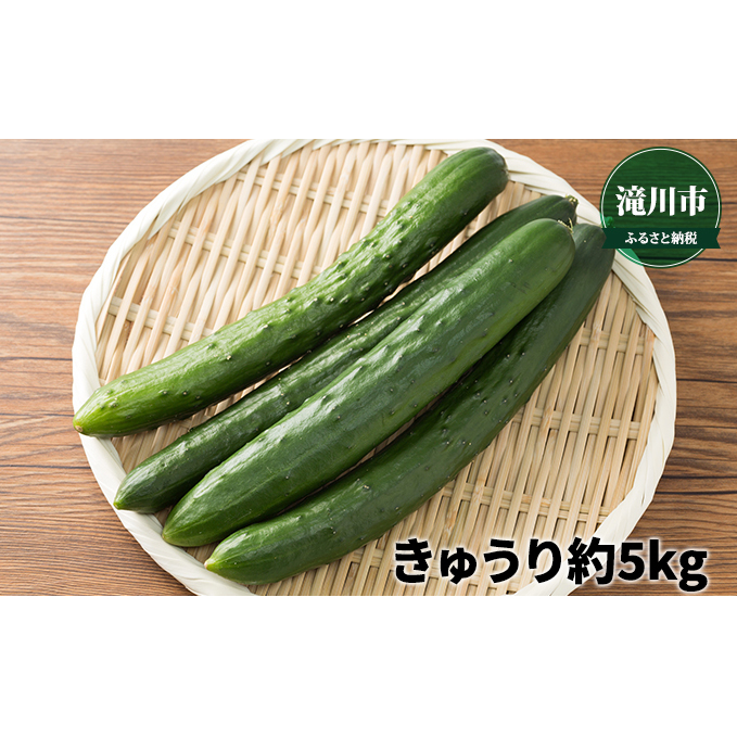 北海道 滝川市 産 きゅうり 約5kg＜2023年6月上旬～順次出荷＞｜キュウリ 野菜 2023年発送 令和5年発送 先行受付 やさい