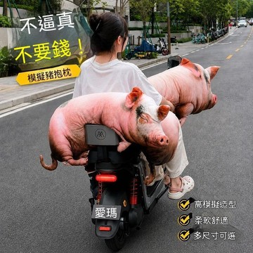 🎯台灣夯貨+快出快達 ✅可愛仿真豬抱枕醜萌掛件玩偶公仔陪睡仿真動物送閨蜜創意節日禮物 2T53