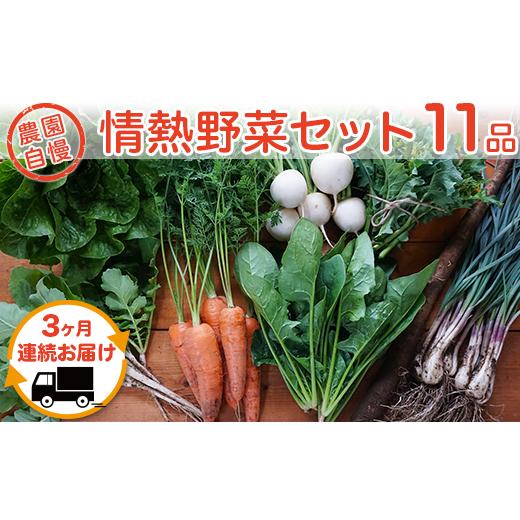 ふるさと納税 茨城県 下妻市 59-6農園自慢の情熱野菜セット（11品）