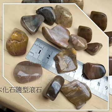木化石隨型滾石 ~增加生命的鬥志，讓人擁有堅強的意志力，踏實的往前 (Petrified Wood) ?聖哲曼?