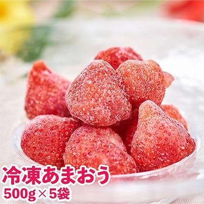 ふるさと納税 遠賀町 福岡産冷凍あまおう500g×5袋(遠賀町)