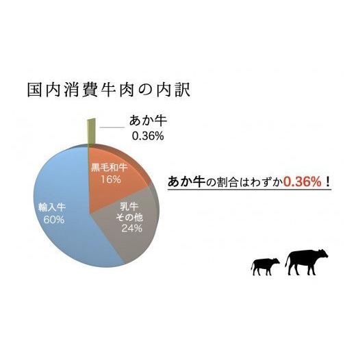 ふるさと納税 熊本県 南小国町 くまもとあか牛(GI) 焼肉用 牛カルビ 600g