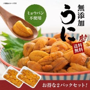 うに 200g 100g×2P 刺身 ウニ  うに丼 雲丹 小分け