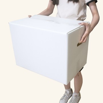 速購家 中型PE板搬家箱5入組(49*33.5*35cm、三層、厚度5mm)