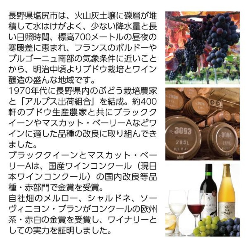 アルプス ミュゼ ドゥ ヴァン 松本平シャルドネ 白 720ml - 飲料