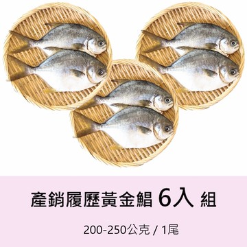 【一夫水產】產銷履歷黃金鯧－6尾組（200-250g/1尾）