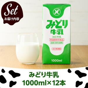 ふるさと納税 みどり牛乳(1000ml×12本) ミルク 常温保存 長期保存 ロングライフ商品 乳飲料 乳製品 大分県 佐伯市 防災【九州乳業.. 大分県佐伯市