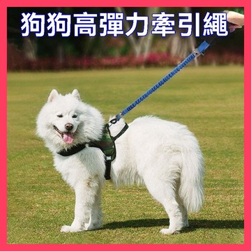 🌈愛寵✨SY三段式可斜背調節彈簧牽繩 | 彈力遛狗繩子大狗防爆衝寵物用品 | 狗狗伸縮牽引繩 | 小型大型犬狗鏈子