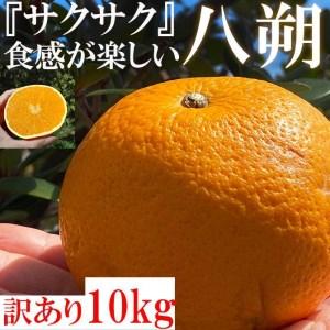 ふるさと納税 八朔(はっさく) 10kg 有田川町 家庭用 和歌山県有田川町