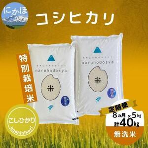 ふるさと納税 特別栽培米コシヒカリ5kg×8回 秋田県にかほ市