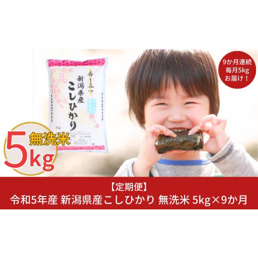 ふるさと納税 新潟県 三条市 [定期便5kg×9か月] 令和5年産 無洗米 新潟県産コシヒカリ 計45kg 新米 こしひかり 9か月連続でお届け [株式会社白熊]