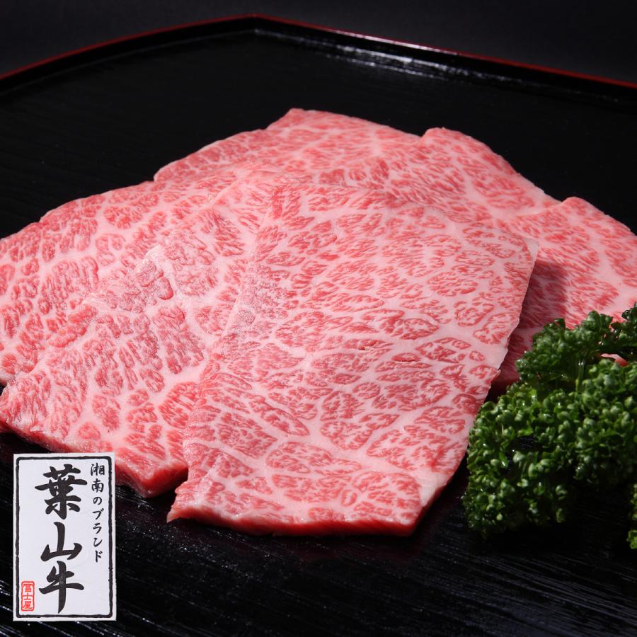 葉山牛 特上 ロース 焼肉 セット 500g 送料無料