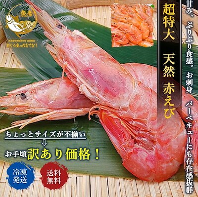 お刺身用天然赤えび アルゼンチン 赤エビ ２ｋｇ 生食用 生えび L2 エビ 海老 えび