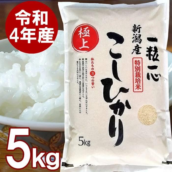 特別栽培米 新潟産 こしひかり 白米 5kg 送料無料