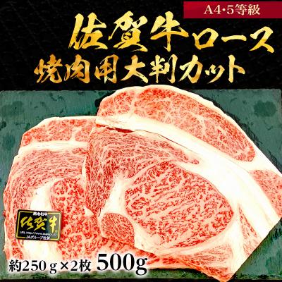 ふるさと納税 唐津市 BBQや焼肉に!佐賀牛A5〜A4　ロース(サーロイン・リブロース・肩ロース)焼肉用大判カット500g