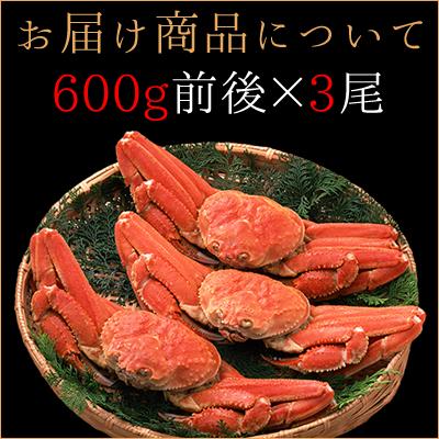 ボイル ズワイガニ 姿 600g前後 3尾 セット ずわいがに カニミソ 贈り物 蟹 お取り寄せ ギフト グルメ 送料無料 かに 北海道 プレゼント