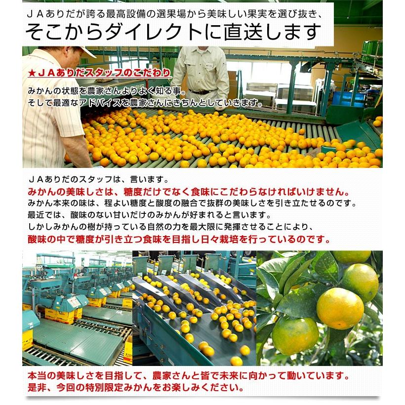 和歌山県より産地直送 JAありだ 有田みかん 糖度12度以上 特秀品「AQ一番」 LからMサイズ 5キロ(40玉から50玉) 送料無料 蜜柑 ミカン お歳暮 御歳暮