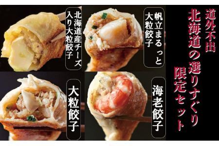 SAPPORO餃子製造所 道外不出 北海道の選りすぐり限定セット（大粒餃子6個、海老餃子5粒、北海道産チーズ入り大粒餃子 5粒、帆立まるっと大粒餃子 3粒)