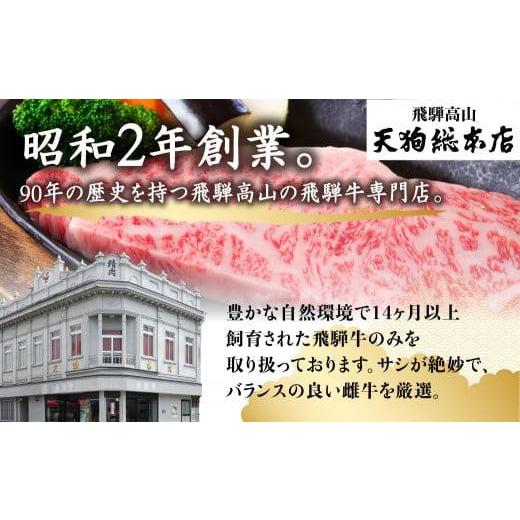 ふるさと納税 岐阜県 高山市 A5 飛騨牛 焼肉(ロース・ヒレ)400g  黒毛和牛 肉     熨斗 のし 飛騨高山d520