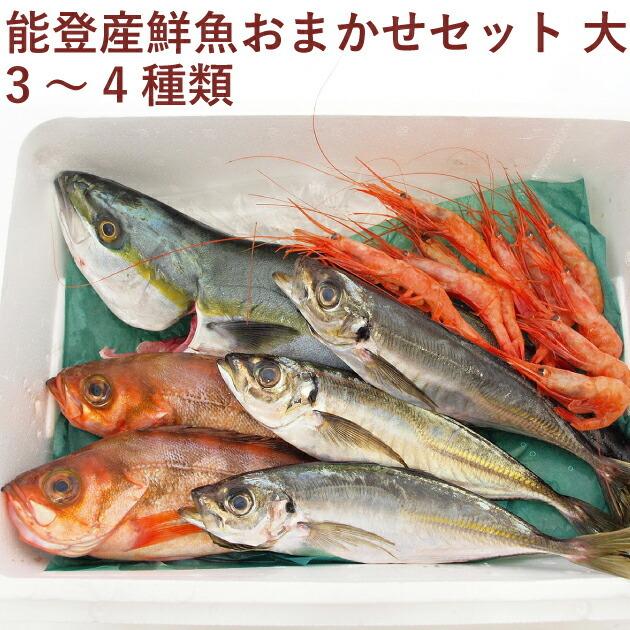 能西水産 能登産鮮魚おまかせセット 大 3〜4種類 送料無料