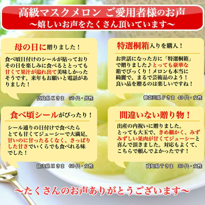 高知県産 高級マスクメロン 大玉(約1,5ｋｇ×２) 家庭用 フルーツ ギフト