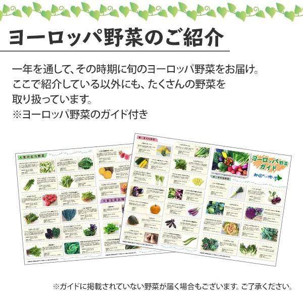 新鮮野菜 詰め合わせ 珍しい野菜 スタンダード ヨーロッパ野菜 セット お取り寄せグルメ ギフト プレゼント 食べ物