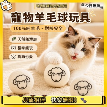 【喵喵汪甄選】🐱寵物羊毛球玩具5cm 靜音耐咬 寵物羊毛氈玩具 貓咪逗貓互動球 狗狗啃咬玩具 居家獨處陪玩 互動玩具