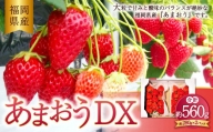 あまおう DX 約280g×2パック 560g いちご 苺 イチゴ