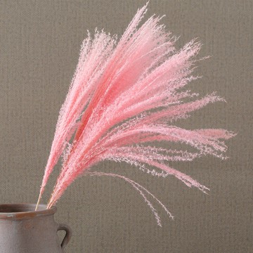 干花裝飾假花客廳擺設幼兒園森系植物角戶外裝飾景觀別墅庭院花園