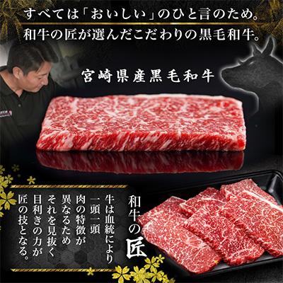 ふるさと納税 都城市 モモステーキ800g(8枚)