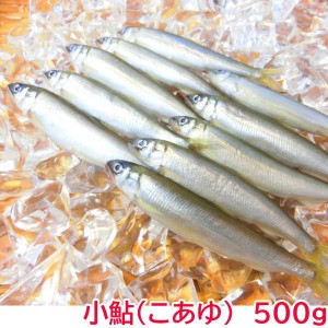 冷凍 小鮎 500ｇ入 こあゆ コアユ あゆ アユ 鮎 国産　・冷凍小鮎500ｇ・