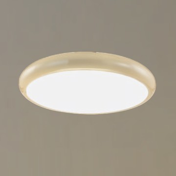 LED36W/48W 三色切換吸頂燈 F37-21-9184B、9184C