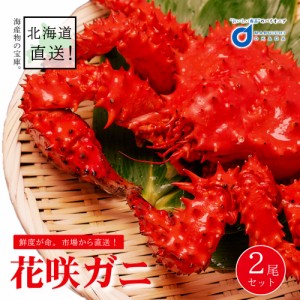 送料無料 花咲ガニ 姿 2尾セット (620g前後×2尾) 花咲蟹 北海道 はなさきがに カニ かに 海鮮ギフト かに鍋 札幌場外市場 グルメ お歳暮