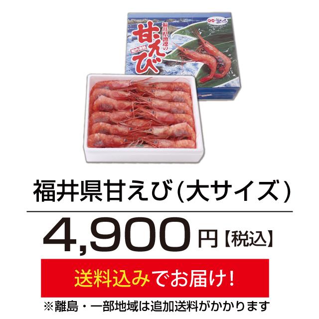 お歳暮 年越し 福井産「甘エビ」甘えび  海老 とろけるような甘み 大サイズ お造り 刺身