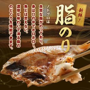 ふるさと納税 7.のどぐろ干物（超特大240g 26cm前後 4枚）のどぐろ本来の旨味に出会う渾身の干物 河野乾魚店 魚 干物 干もの 乾物 のどぐろ 一夜.. 島根県浜田市