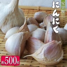 安曇野　にんにく　ばら500g