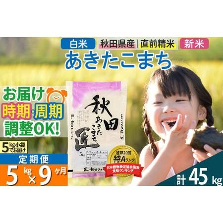 ふるさと納税 ＜新米＞ 《定期便9ヶ月》秋田県産 あきたこまち 5kg (5kg×1袋)×9回 令和5年産 時期選べる5キロ お米 秋田県仙北市