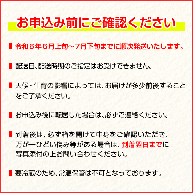 CB82-23_数量限定 希少 完熟 マンゴー 鉢植え栽培 2L以上×2玉 フルーツ 果物 国産 食品 デザート 完熟マンゴー 産地直送 送料無料