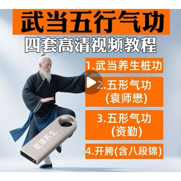 （台灣出貨）武當袁師懋開胯道家五行養生氣功U盤視頻教程混元樁資勤八段錦