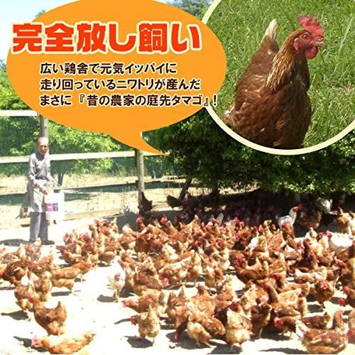 鶏肉 かたい親鳥 むね肉 皮付き 1kg 親どり ひね鶏 ひね鳥 国産 鶏肉 ※親鳥のため昔ながらの「硬い肉質」の鶏肉となります。ご了承ください