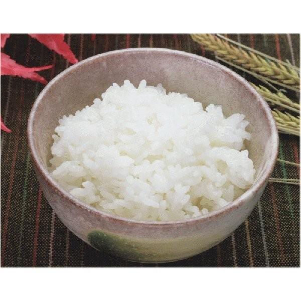 こめ 米 新米 山形県長井市 遠藤孝太郎さん 特別栽培米はえぬき 白米3kg 送料込